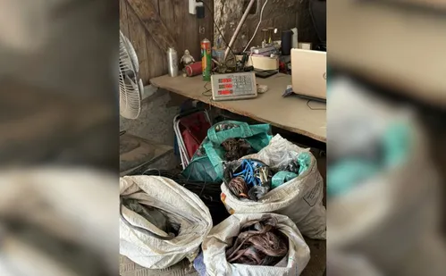 
          Imagem ilustrativa da imagem Operação apreendeu cerca de três toneladas de fios de cobre na Serra
          