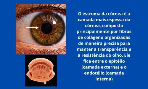 
          Imagem ilustrativa da imagem Pioneira em tatuagem ocular no Nordeste devolverá olhar a idoso que a inspirou
          