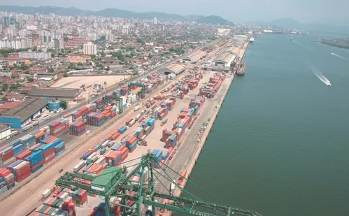 
          Imagem ilustrativa da imagem Praga da Ásia ameaça se espalhar no Brasil
          