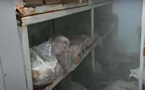 
          Imagem ilustrativa da imagem Presos 4 acusados de vender carne que ficou submersa na enchente do RS
          