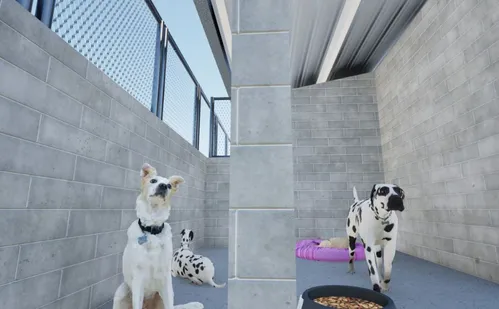 
          Imagem ilustrativa da imagem Projeto de Bem-Estar Animal vai abrigar 300 cães e gatos em presídio de Viana
          