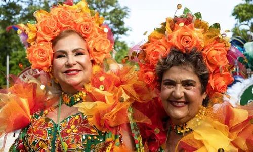 
          Imagem ilustrativa da imagem Rua da Aurora recebe 26º Aurora dos Carnavais com 25 blocos líricos e homenagens
          