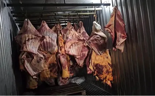 
          Imagem ilustrativa da imagem Suspeitos de vender carne estragada têm prisão preventiva decretada
          
