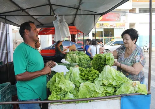 
          Imagem ilustrativa da imagem Família capixaba vende 10 mil pés de alface por mês
          