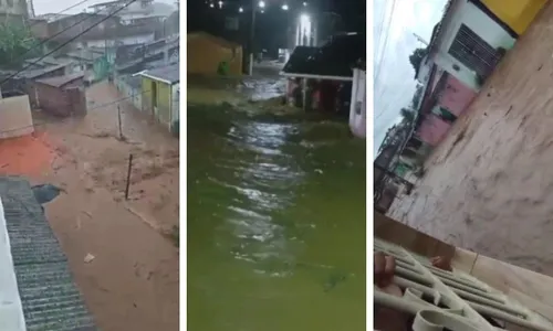 
          Imagem ilustrativa da imagem Vicência sofre alagamento agravado por córregos entupidos e alerta pouco eficiente
          