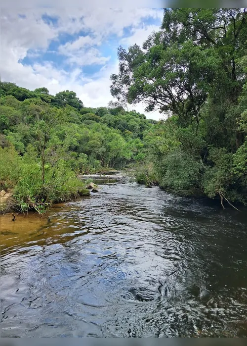 Imagem ilustrativa da imagem Corpo de turista argentino desaparecido em Santa Catarina é achado às margens de rio