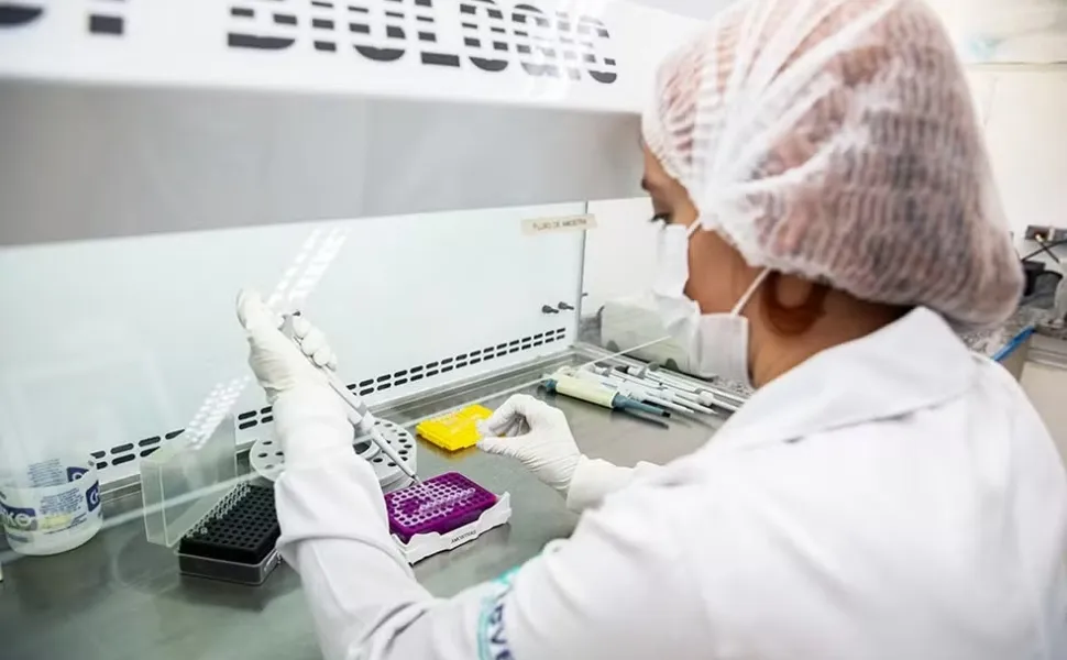 Imagem ilustrativa da imagem Anvisa aprova primeira vacina contra Chikungunya, do Instituto Butantan