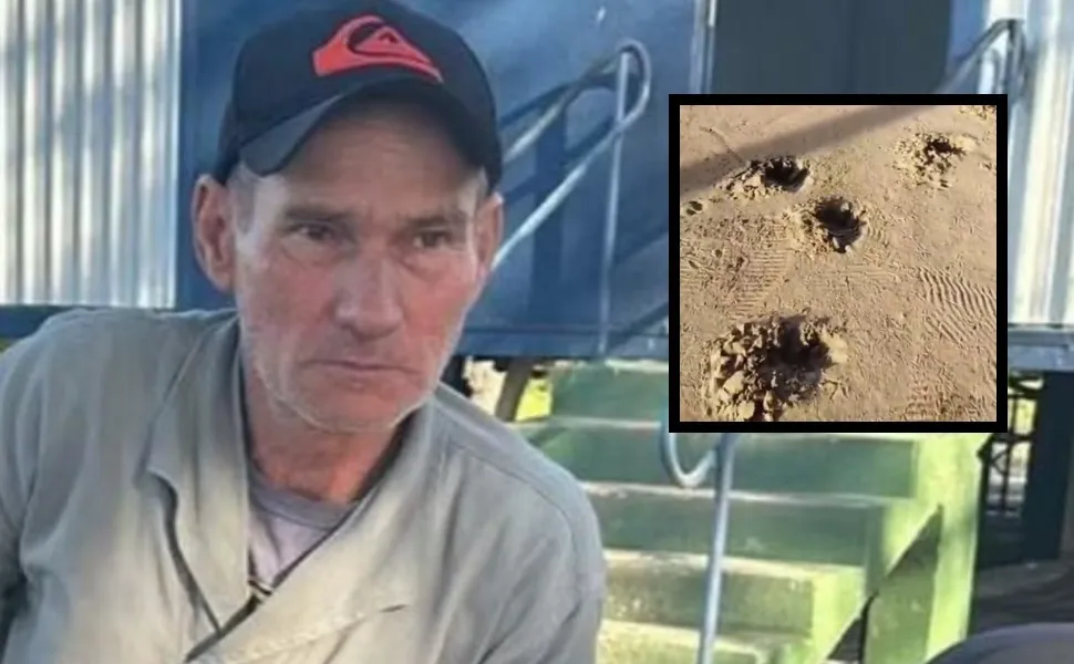 Imagem ilustrativa da imagem Caseiro é atacado e morto por onça-pintada no pantanal de MS. Veja vídeo