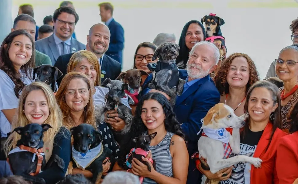 Imagem ilustrativa da imagem Como funciona o novo cadastro de cães e gatos que prevê RG, castração e microchip