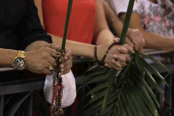 Imagem ilustrativa da imagem Domingo de Ramos: qual é o significado da data?