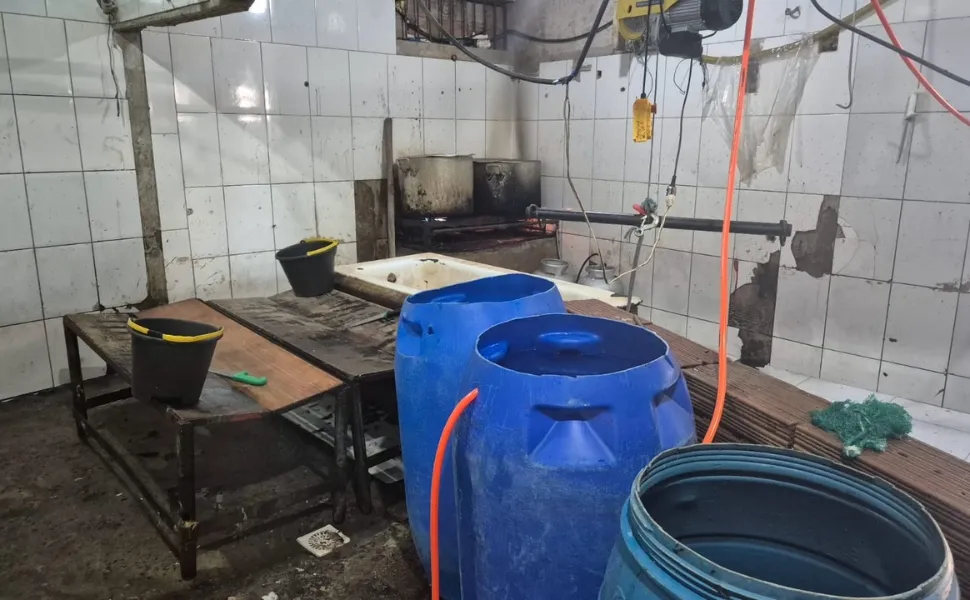 Imagem ilustrativa da imagem Matadouro irregular é interditado e quase 4 toneladas de carne são apreendidas