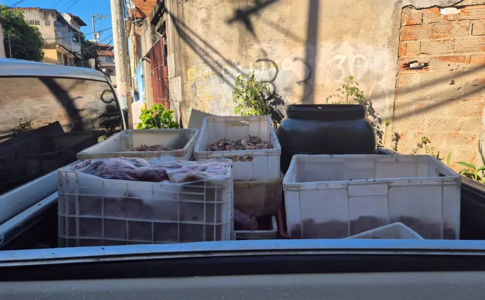 Imagem ilustrativa da imagem Matadouro irregular é interditado e quase 4 toneladas de carne são apreendidas