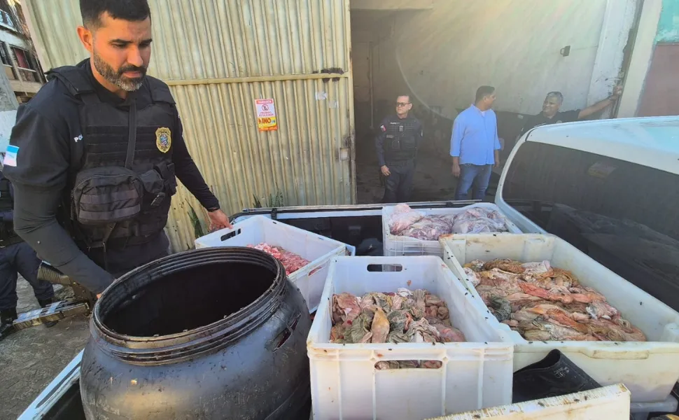 Imagem ilustrativa da imagem Matadouro irregular é interditado e quase 4 toneladas de carne são apreendidas