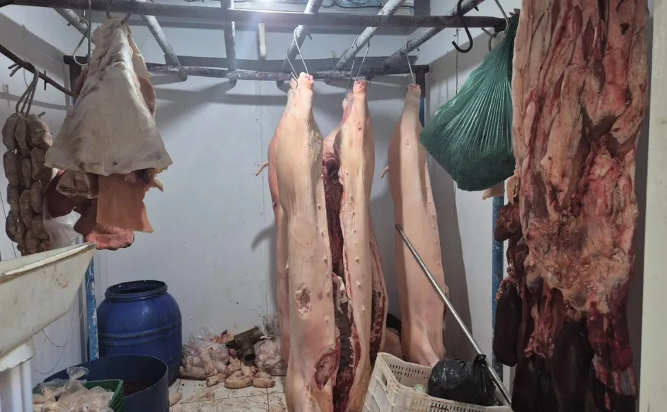 Imagem ilustrativa da imagem Matadouro irregular é interditado e quase 4 toneladas de carne são apreendidas
