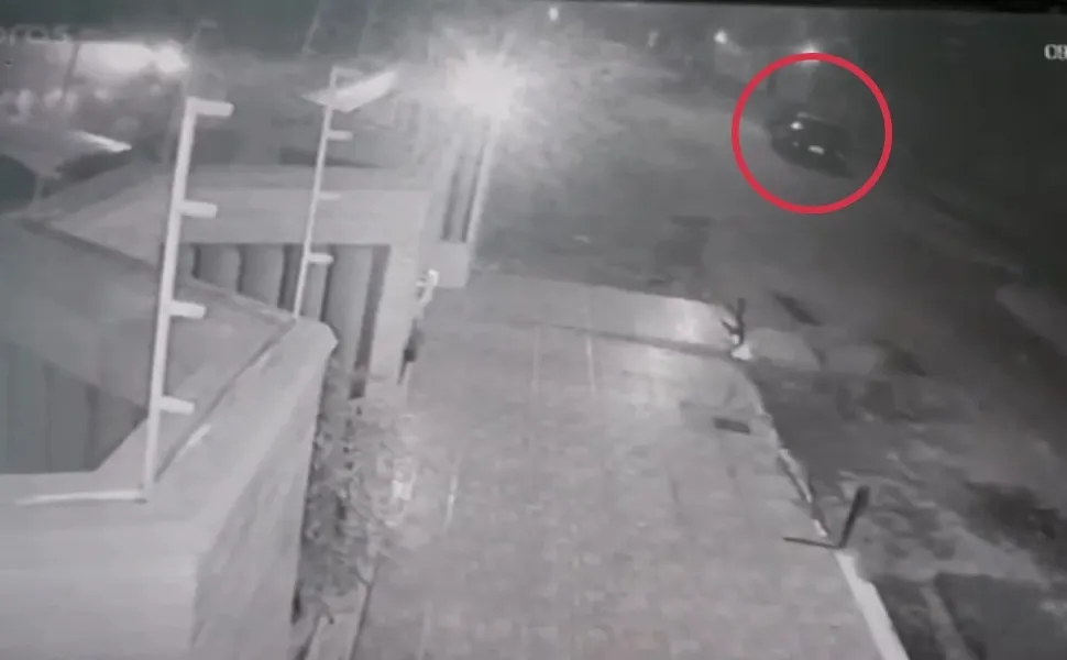 Imagem ilustrativa da imagem Motorista é flagrado atropelando e matando capivaras em bairro de Vila Velha