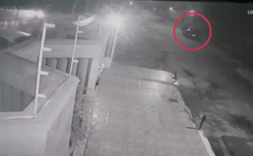 Imagem ilustrativa da imagem Motorista que atropelou e matou capivaras em Vila Velha é autuado por maus-tratos