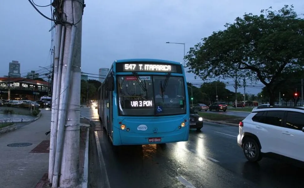 Imagem ilustrativa da imagem Nova linha de ônibus do Transcol começa a operar neste domingo