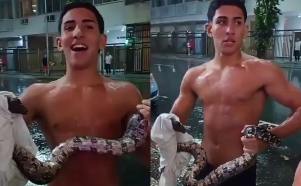 Imagem ilustrativa da imagem VÍDEO | Jiboia aparece em rua de Copacabana e jovem a pega com as próprias mãos