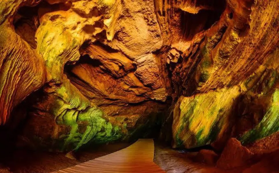 Imagem ilustrativa da imagem Você teria coragem? Gruta do Limoeiro, em Castelo, revela segredos da pré-história