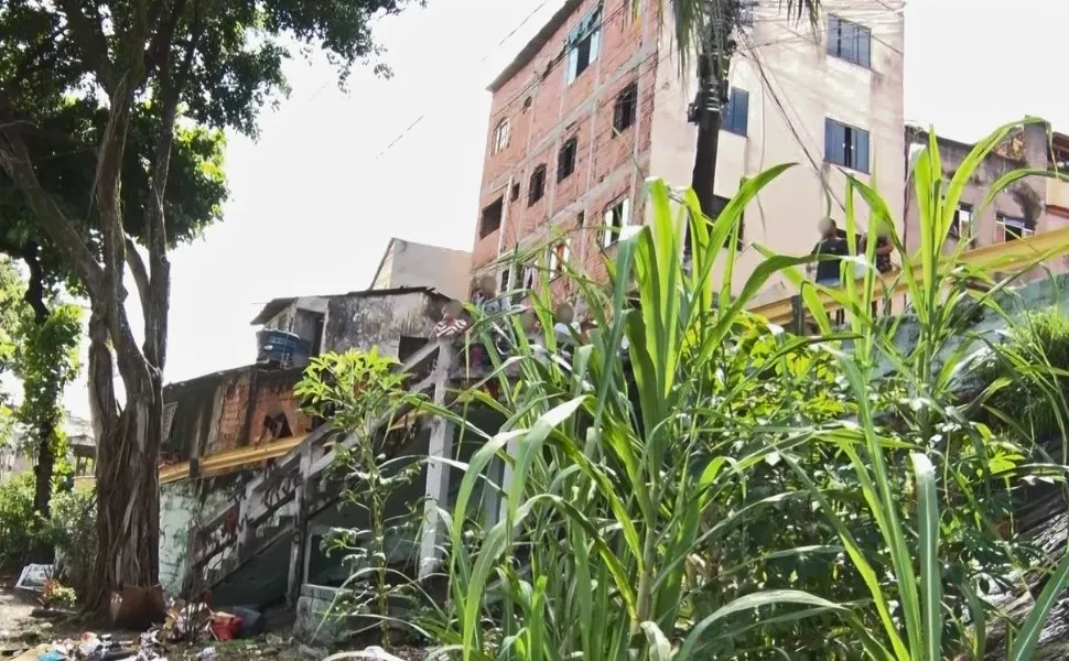 Imagem ilustrativa da imagem Corpo com mãos amarradas e faca cravada na cabeça é encontrado em Vila Velha