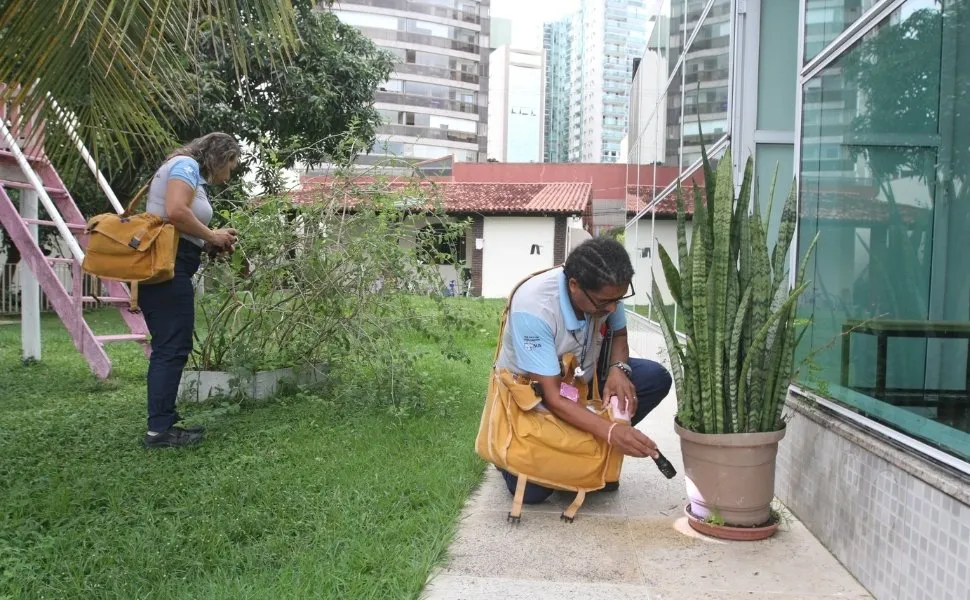 Imagem ilustrativa da imagem ES investiga 12 mortes por suspeita de dengue