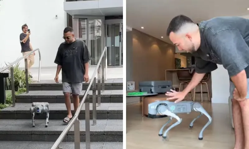 Imagem ilustrativa da imagem Cão-robô de Lucas Rangel, comprado por R$ 40 mil, causa polêmicas e, claro, tretas