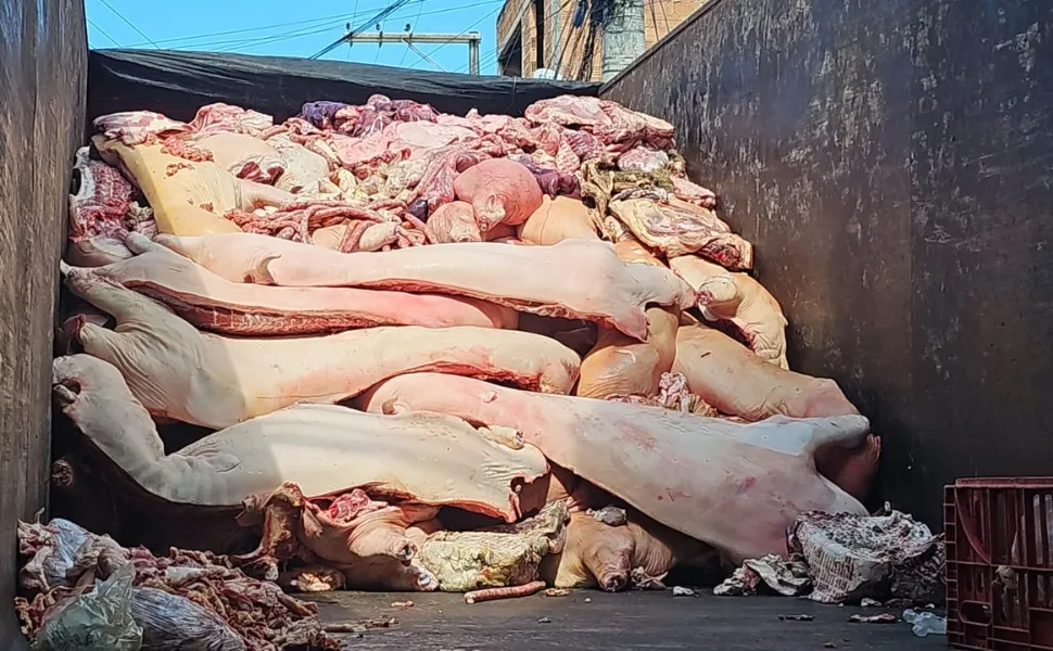 Imagem ilustrativa da imagem Matadouro irregular é interditado e quase 4 toneladas de carne são apreendidas