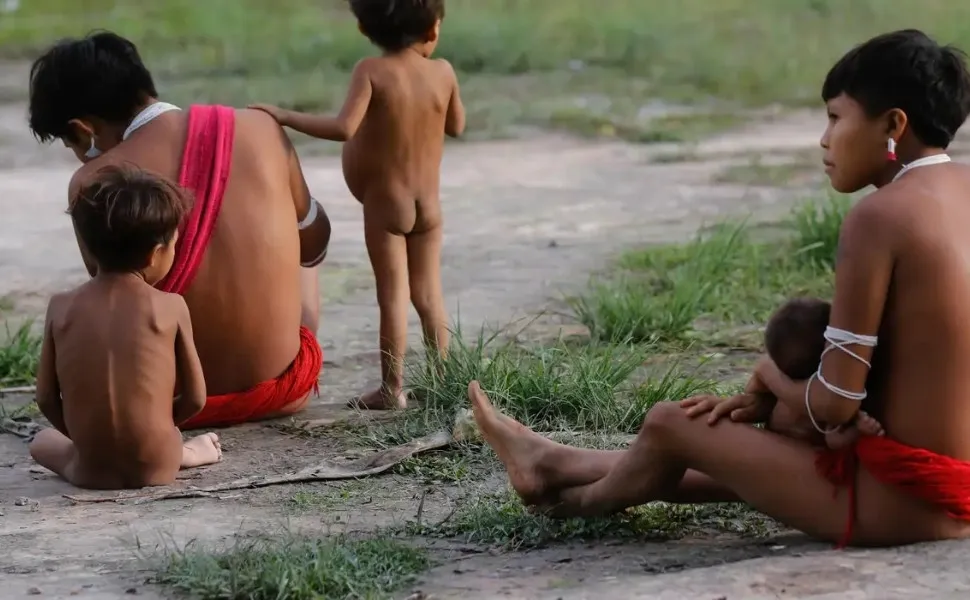 Imagem ilustrativa da imagem Número de óbitos no território Yanomami teve redução de 21% em 2024