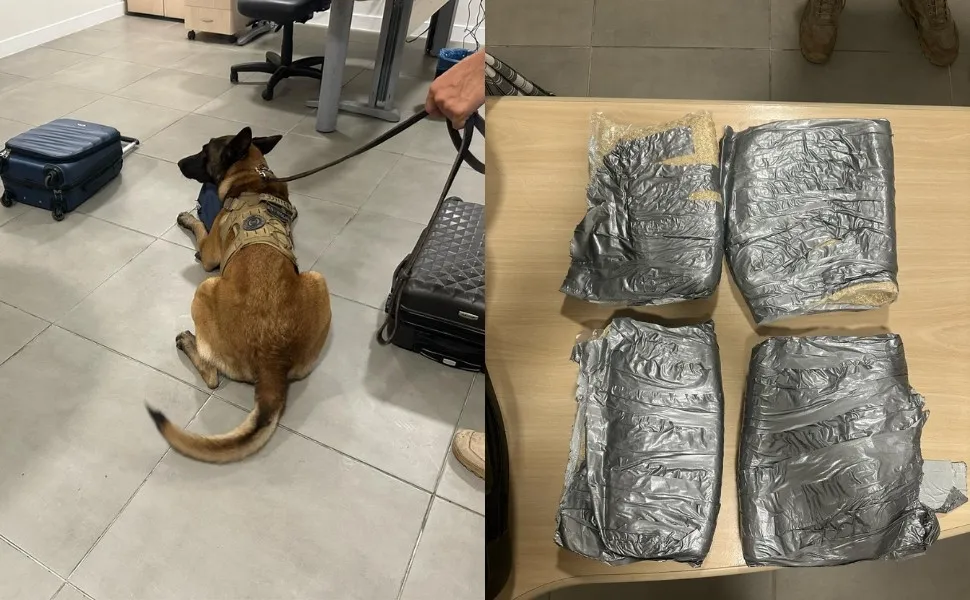 Imagem ilustrativa da imagem Polícia Federal prende homem com 5kg de cocaína no Aeroporto de Vitória