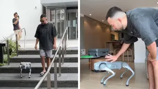 Imagem ilustrativa da imagem Cão-robô de Lucas Rangel, comprado por R$ 40 mil, causa polêmicas e, claro, tretas