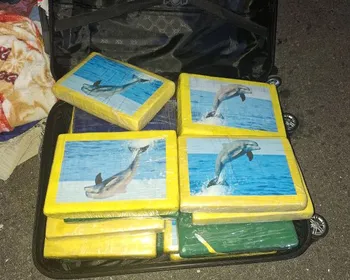 Imagem ilustrativa da imagem Quase 20 quilos de cocaína apreendidos durante abordagem em rodovia de Petrolina