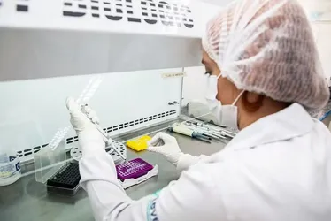 Imagem ilustrativa da imagem Anvisa aprova primeira vacina contra Chikungunya, do Instituto Butantan