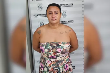 Imagem ilustrativa da imagem Assalto contra turistas mineiros na Serra foi tramado por dona da casa, diz polícia