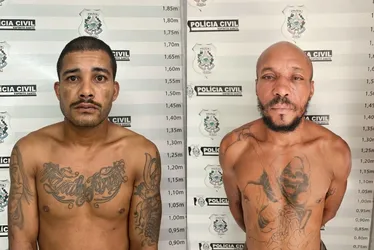 Imagem ilustrativa da imagem Assalto contra turistas mineiros na Serra foi tramado por dona da casa, diz polícia