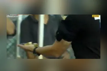 Imagem ilustrativa da imagem Banana é arremessada em banco de reservas do Sport em partida do Brasileirão