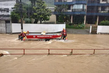 Imagem ilustrativa da imagem Bombeiros resgatam cabra presa em porta-malas em Petrópolis; veja fotos e vídeo