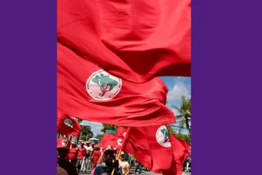 Imagem ilustrativa da imagem Carro usado para atropelar militantes do MST, no Recife, pertence a uma mulher