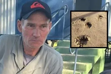 Imagem ilustrativa da imagem Caseiro é atacado e morto por onça-pintada no pantanal de MS. Veja vídeo