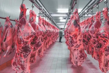 Imagem ilustrativa da imagem China suspende compra de carne bovina do Brasil