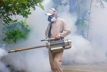 Imagem ilustrativa da imagem Combate à dengue: só 55% dos moradores liberam visita dos agentes