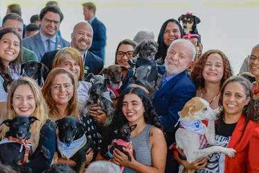 Imagem ilustrativa da imagem Como funciona o novo cadastro de cães e gatos que prevê RG, castração e microchip