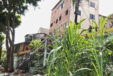 Imagem ilustrativa da imagem Corpo com mãos amarradas e faca cravada na cabeça é encontrado em Vila Velha