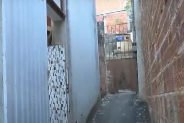 Imagem ilustrativa da imagem Pitbulls invadem churrasco e matam cachorro de família em Vitória