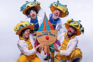 Imagem ilustrativa da imagem Doutores da Alegria leva La Ursa aos hospitais do Recife no clima de Carnaval