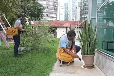 Imagem ilustrativa da imagem ES investiga 12 mortes por suspeita de dengue