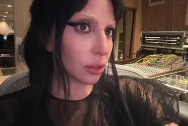 Imagem ilustrativa da imagem Entenda as doenças que fizeram Lady Gaga cancelar show no Brasil em 2017