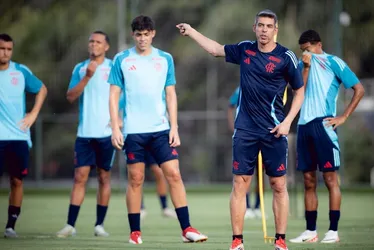 Imagem ilustrativa da imagem Flamengo anuncia técnico português para sub-20 após título da Libertadores