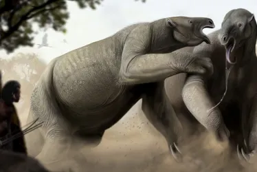 Imagem ilustrativa da imagem Fósseis revelam que preguiça-gigante do ES não possuía pelos