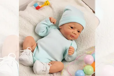 Imagem ilustrativa da imagem Gracyanne Barbosa diz que virou mãe de bebê reborn