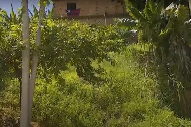 Imagem ilustrativa da imagem Homem agride e joga esposa do alto de barranco em Viana